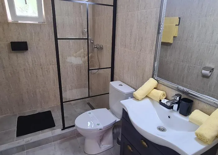 Homestay Tomis Costinesti