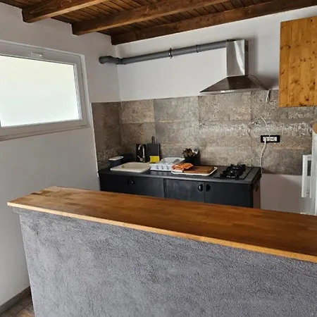 Tomis Gazde/Camere de închiriat