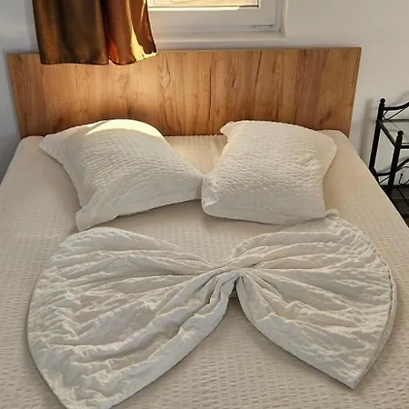 Tomis Gazde/Camere de închiriat