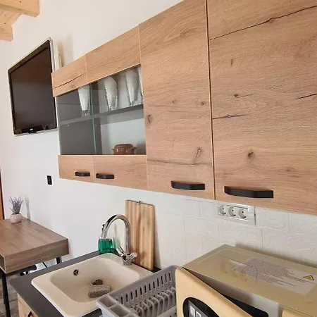 Tomis בית אירוח *