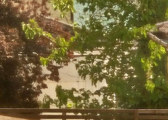 Tomis Quarto em Acomodações Particulares *